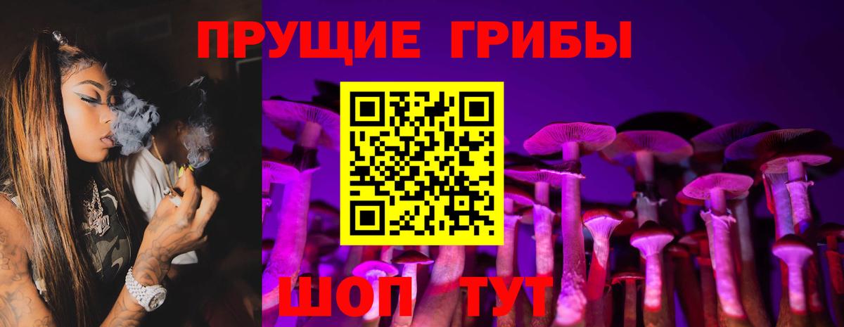 закладки  Вход с VPN  Артёмовский  Псилоцибиновые грибы MAGIC MUSHROOMS 